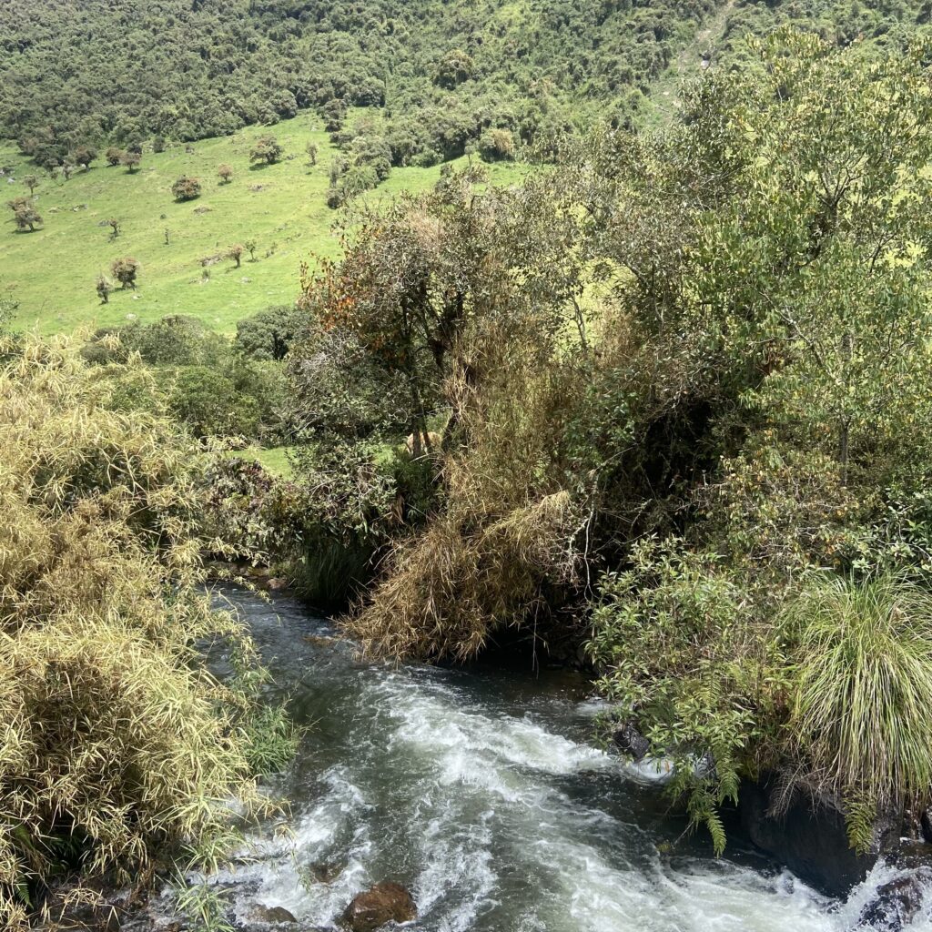 Volontariato in Amazzonia con Giuliana Gellini
